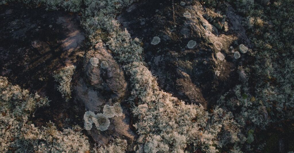 From Hesitation to Renovation – How One Rocky Mount Homeowner Discovered the Smartest Investment They Ever Made